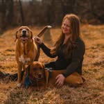 thesunshinedogs profile picture