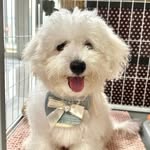 thetamidiary profile picture