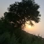 the_tarun__rajput profile picture
