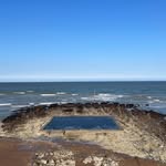 the_tidalpool profile picture