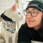 thetnr_vettech profile picture