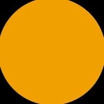 thetomadam profile picture