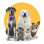 thetuckerfarm profile picture