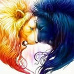 thetwinflamelovers profile picture