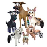 theunstoppabledogs profile picture