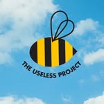 theuselessproject profile picture