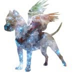 thevelvetburritos profile picture