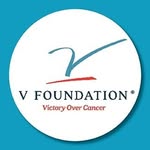 thevfoundation profile picture