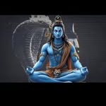 thevikram_universe profile picture