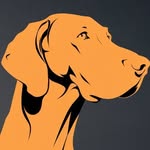 thevizslastore profile picture