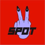 thevspot_podcast profile picture