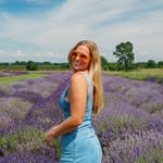 thewanderingconk profile picture