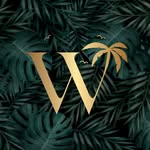 thewealthgroupmiami profile picture