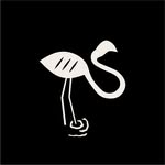 thewebsterman profile picture