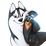 theween_and_thewoof profile picture