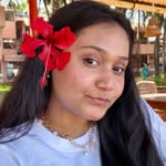 thewhimsicalpanda profile picture