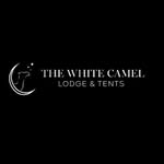 thewhitecamelagafay profile picture