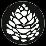 thewildcone profile picture
