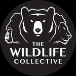 thewildlifecollective_ profile picture