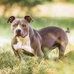the_wonderful_life_of_jack profile picture