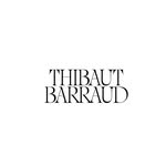 thibautbarraud profile picture
