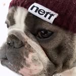 thick_boy_waylon profile picture