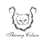 thierrycolsonparis profile picture