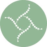 thimari.andros profile picture