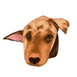 this_is_houston profile picture