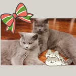 thisisyoursweetmess profile picture