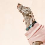 thisweimlife profile picture