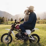 thiswildidea profile picture