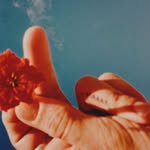 thomasharrison profile picture