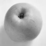 thomas_marroni profile picture