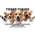 threecorgis profile picture