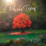 three_trees_sound profile picture