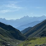 thrilling_naturre profile picture
