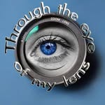 through.the.eye.of.my.lens profile picture
