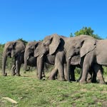 thulathulareserve profile picture
