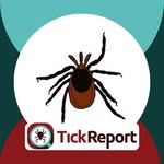 tickreport profile picture