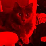 tidalhex profile picture