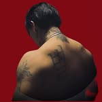 tieger profile picture