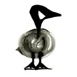 tiernotruf.de profile picture