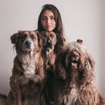 tifagrados.rescate.animal profile picture