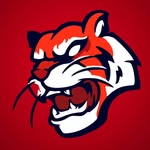 tigergaminng profile picture