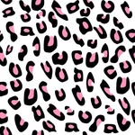 tigerlilly_official profile picture