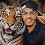 tiger_________sh profile picture