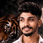 tigersrbh profile picture