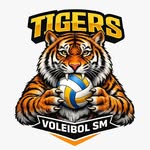 tigersvoleibolsm profile picture
