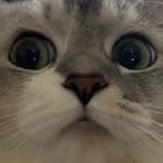 tiid0928 profile picture